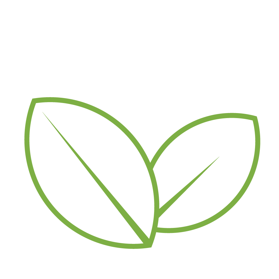 Green Tea Pure