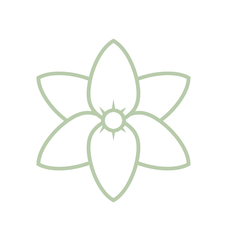 Green Tea Jasmin