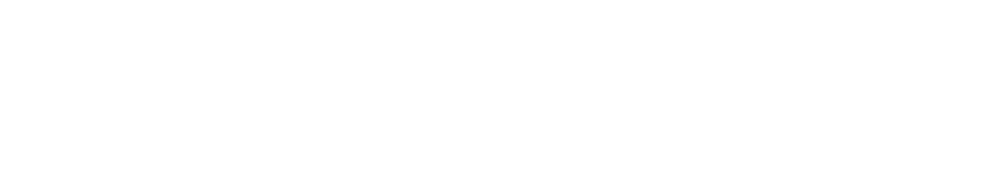 LOGO 2 APAISADO